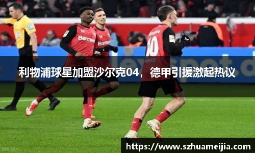 利物浦球星加盟沙尔克04，德甲引援激起热议